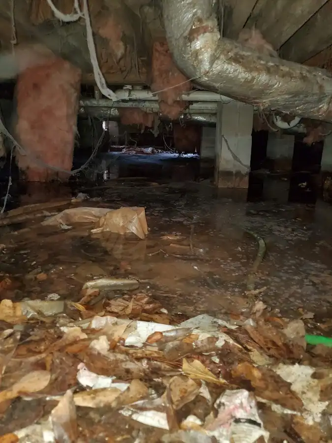 Crawl space flood assessment for Commercial Water Damage Restoration in Prospect Park